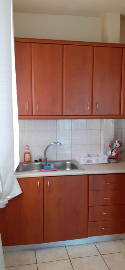 Irene Apartment Ioannina Luaran gambar